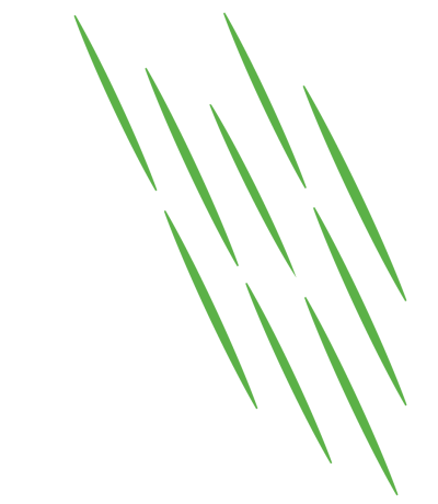 straight tracks